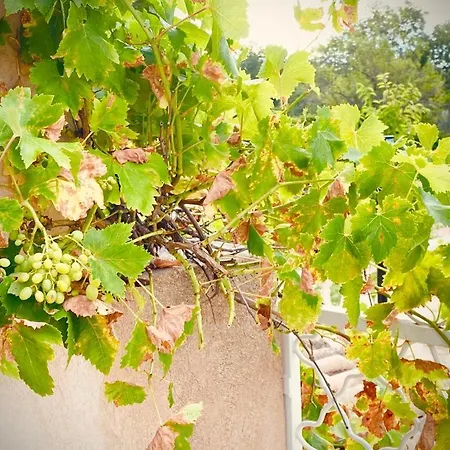 La Des Ames Liees Draguignan